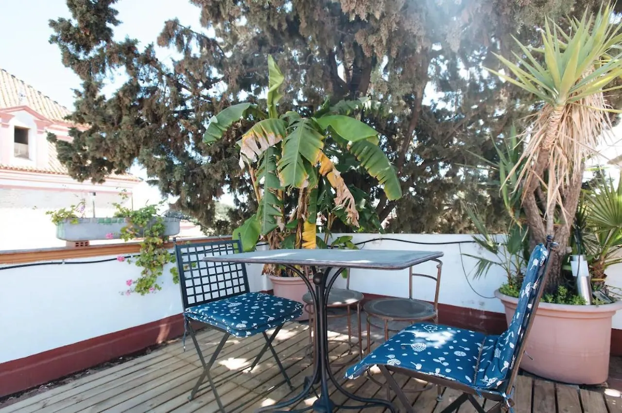 公寓 塞维利亚Penthouse Private Terrace, Near Cathedral, And To Real Maestranza公寓 西班牙